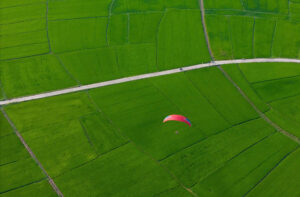Paragliding above lush green rice fields in Hoi An, Vietnam