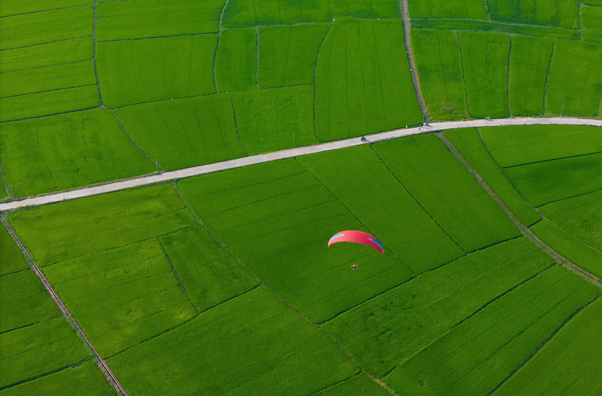 Paragliding above lush green rice fields in Hoi An, Vietnam