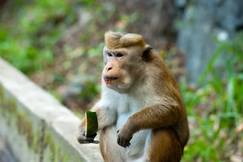 Ảnh chế hài hước 5