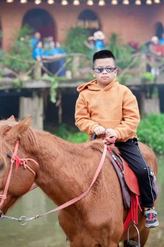 Ảnh chế hài hước 19