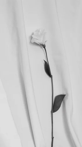 Ảnh trắng đen 37