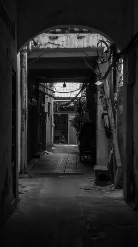 Ảnh trắng đen 53