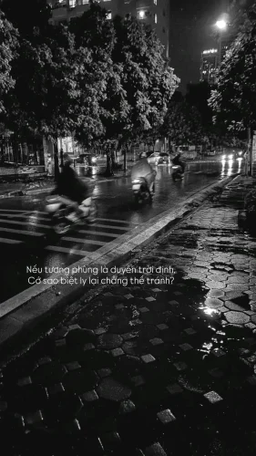 Ảnh trắng đen 142