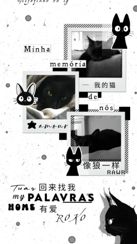 Ảnh trắng đen 152