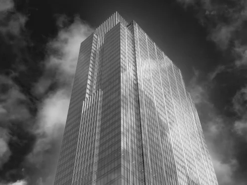 Ảnh trắng đen 203