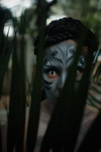 Avatar 3D 45