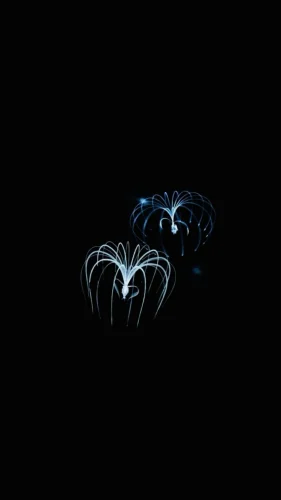 Avatar aesthetic 24