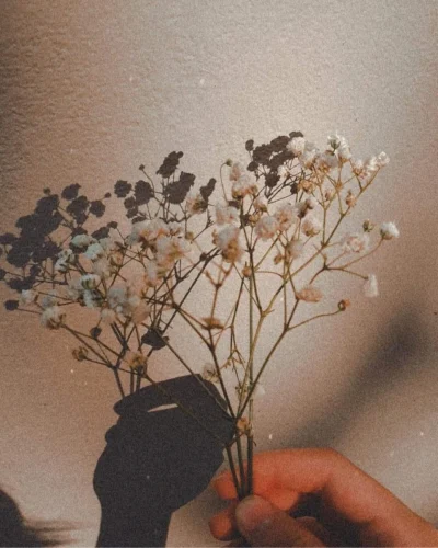 Avatar aesthetic 37