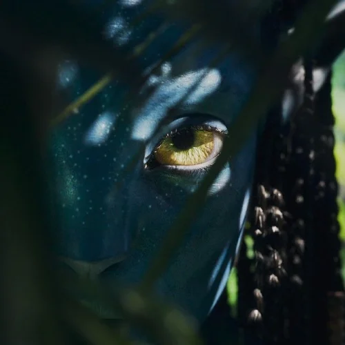 Avatar aesthetic 47