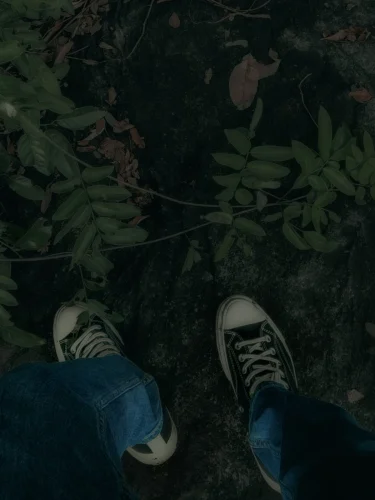 Avatar aesthetic 49