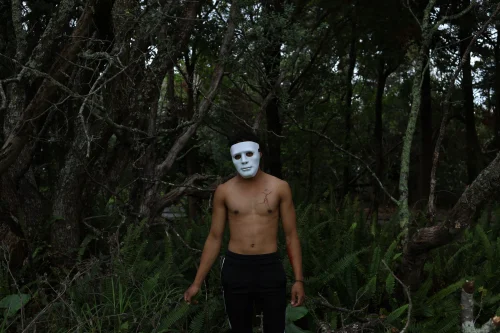 Avatar ẩn danh 44