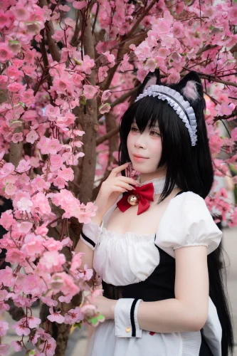 Avatar anime nữ 56