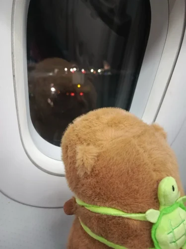 Avatar capybara 12