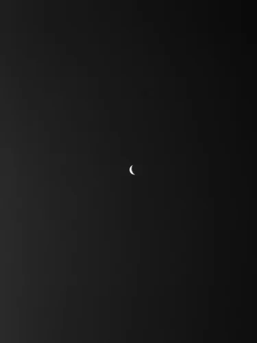 Avatar đen 43