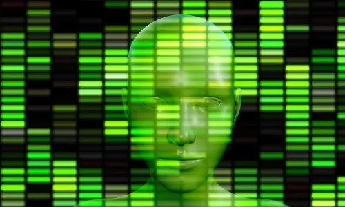 Avatar Discord 29