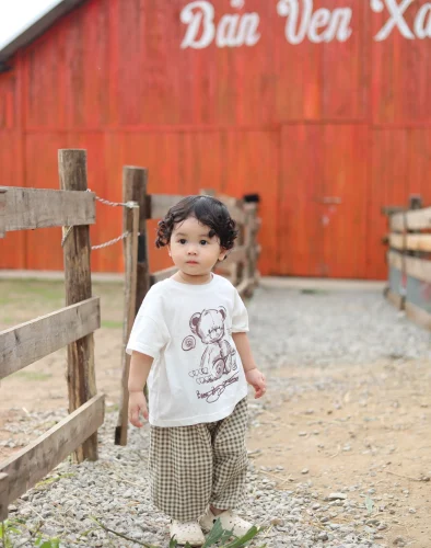 Avatar gấu 39