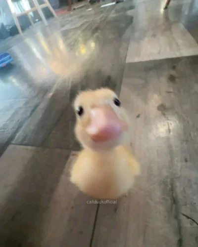 Avatar hoạt hình 37