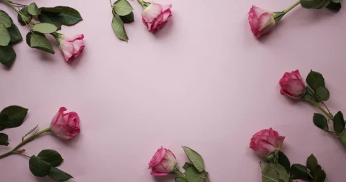 Avatar hồng 35