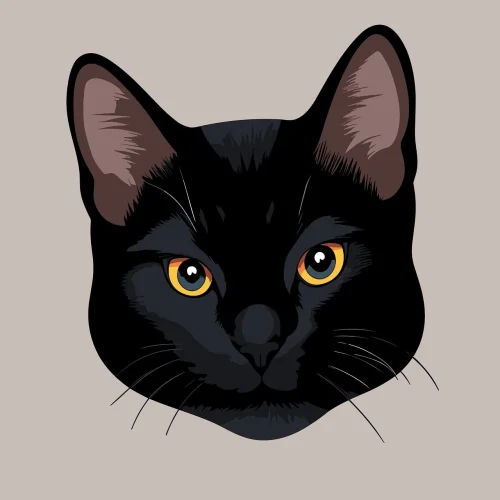 Avatar mèo 34