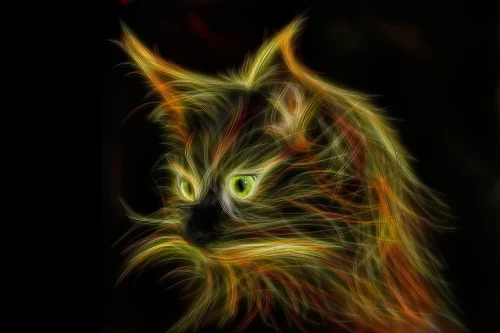 Avatar mèo 5