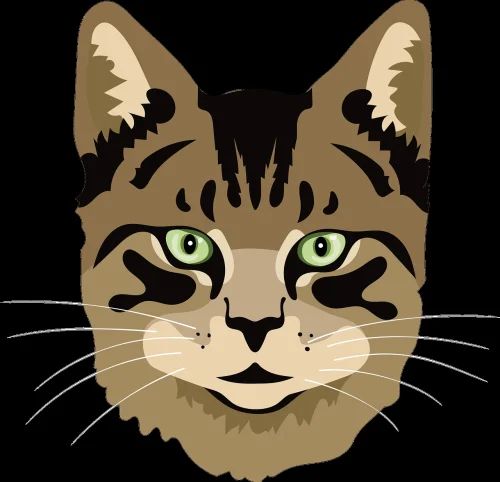 Avatar mèo 2