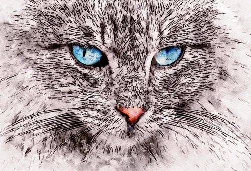 Avatar mèo 14