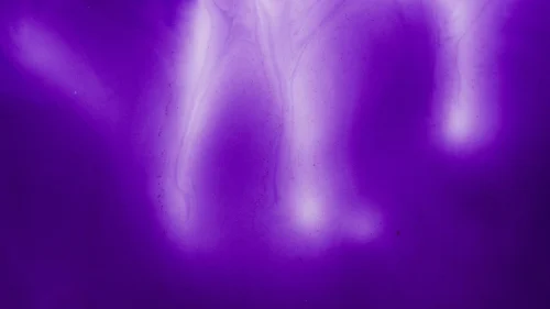 Avatar tím 13