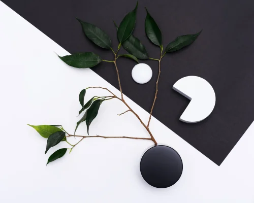 Avatar trắng trơn 43