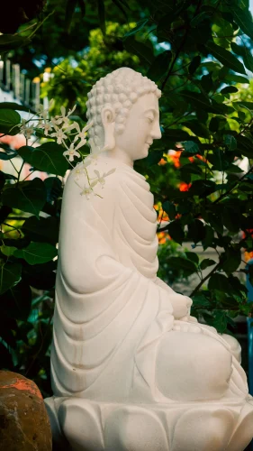 Avatar trắng 14