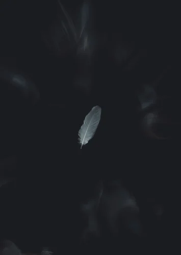 Avatar trắng 28