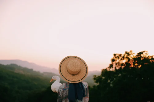 Avatar vịt 42
