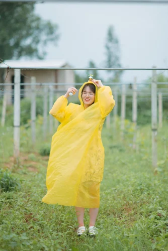 Avatar vịt 2