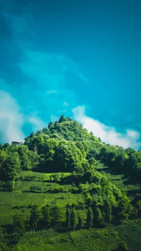 Hình nền 4K 33
