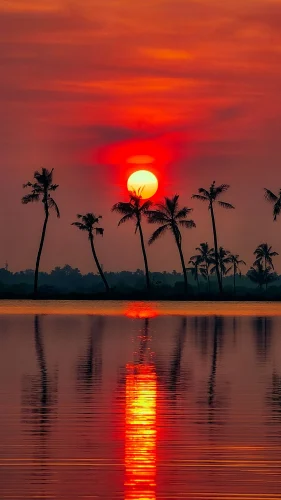 Hình nền 4K 72