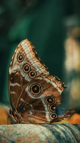 Hình nền 4K 77