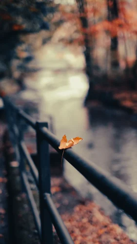 Hình nền 4K 82