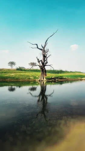 Hình nền 4K 85