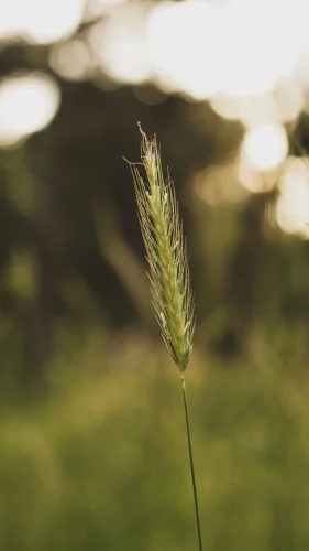Hình nền 4K 86