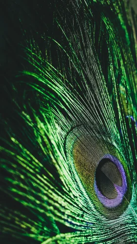 Hình nền 4K 105