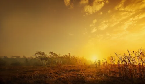 Hình nền 4K 124