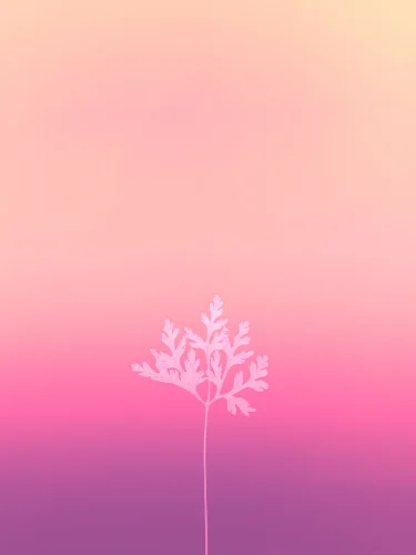 Hình nền aesthetic 78