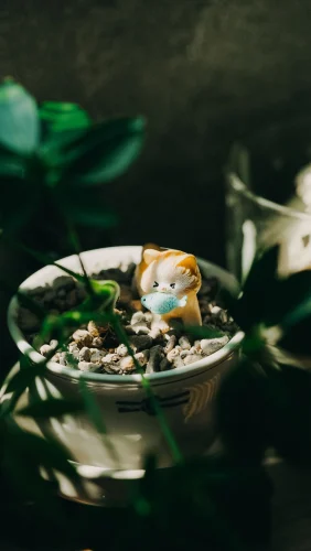 Hình nền cá 46