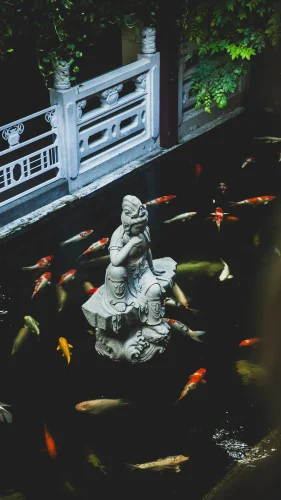 Hình nền cá 112