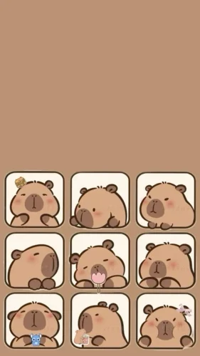 Hình nền capybara 35