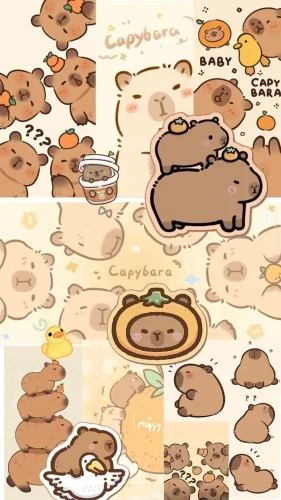 Hình nền capybara 67