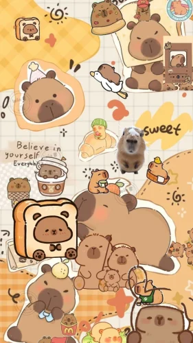 Hình nền capybara 155