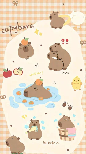 Hình nền capybara 157