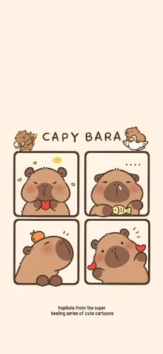 Hình nền capybara 162