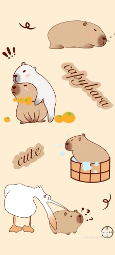 Hình nền capybara 208