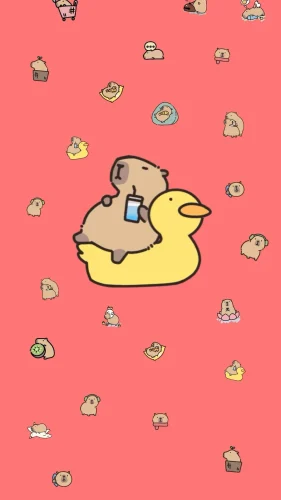 Hình nền capybara 212